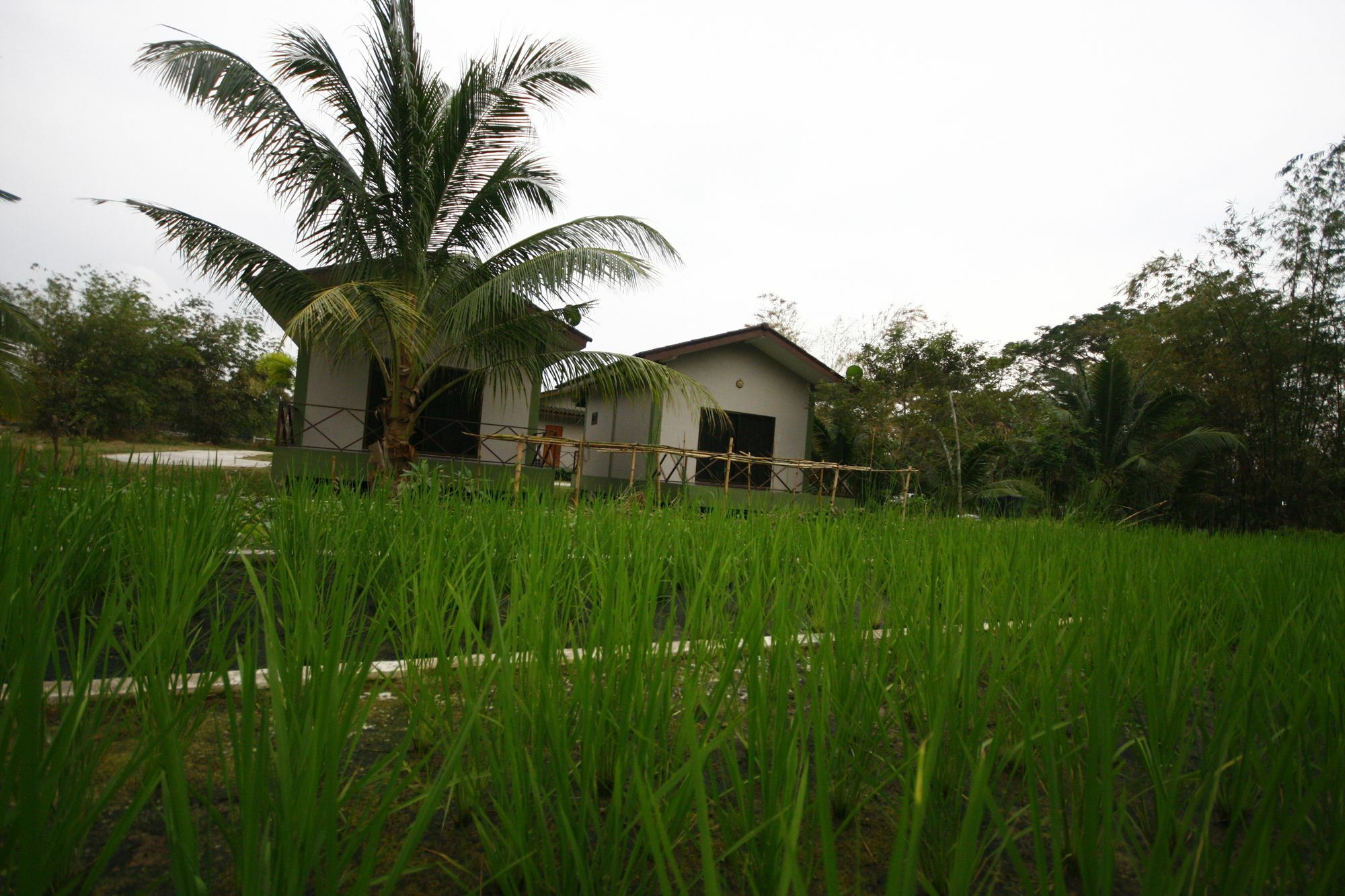 Long Lake Resort Chonburi Luaran gambar